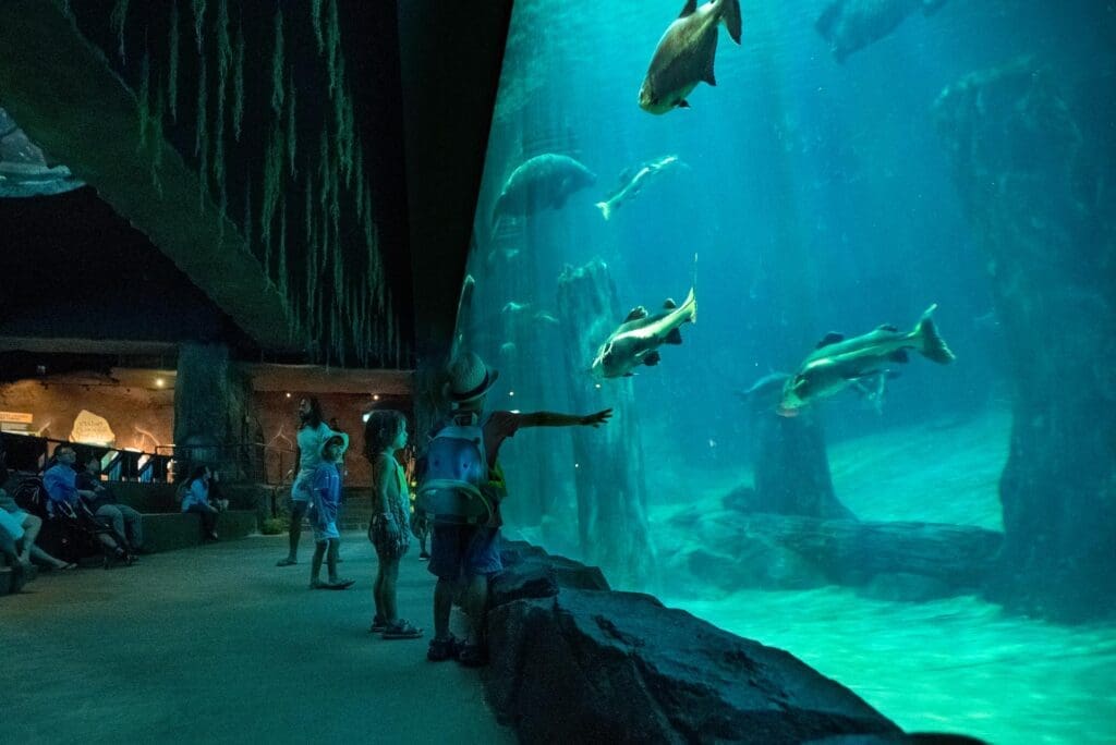 Photo credits: Singapore Tourism Board