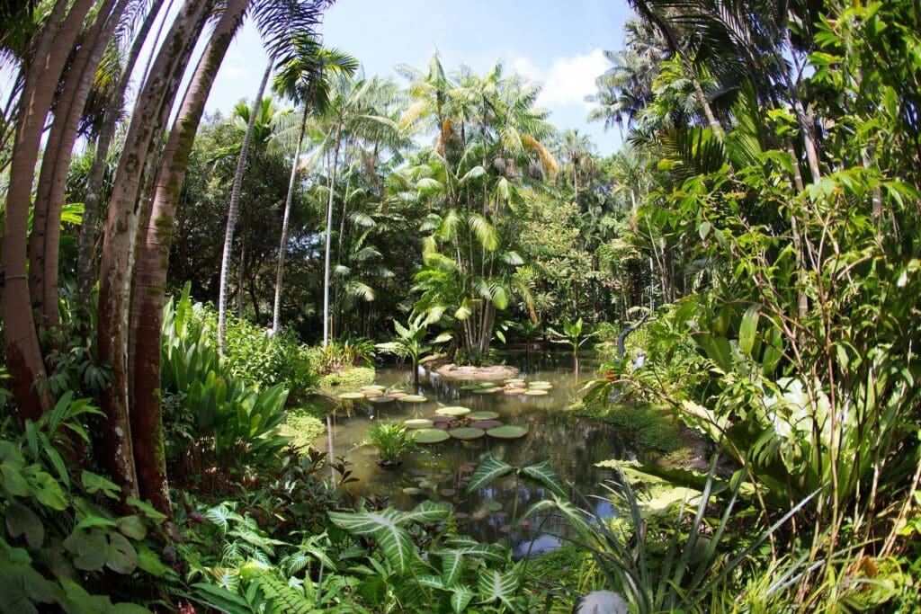 Botanic Gardens