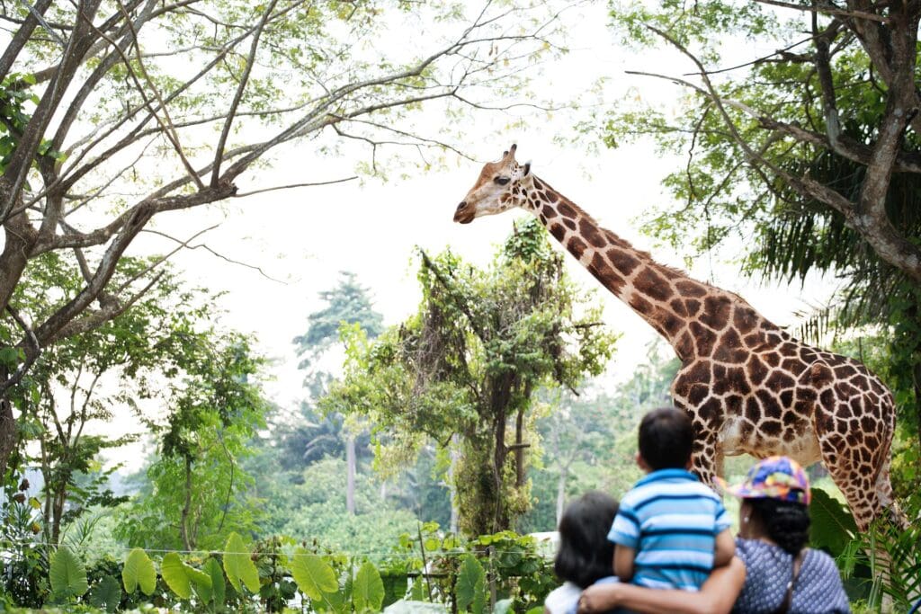 Photo credits: Singapore Tourism Board